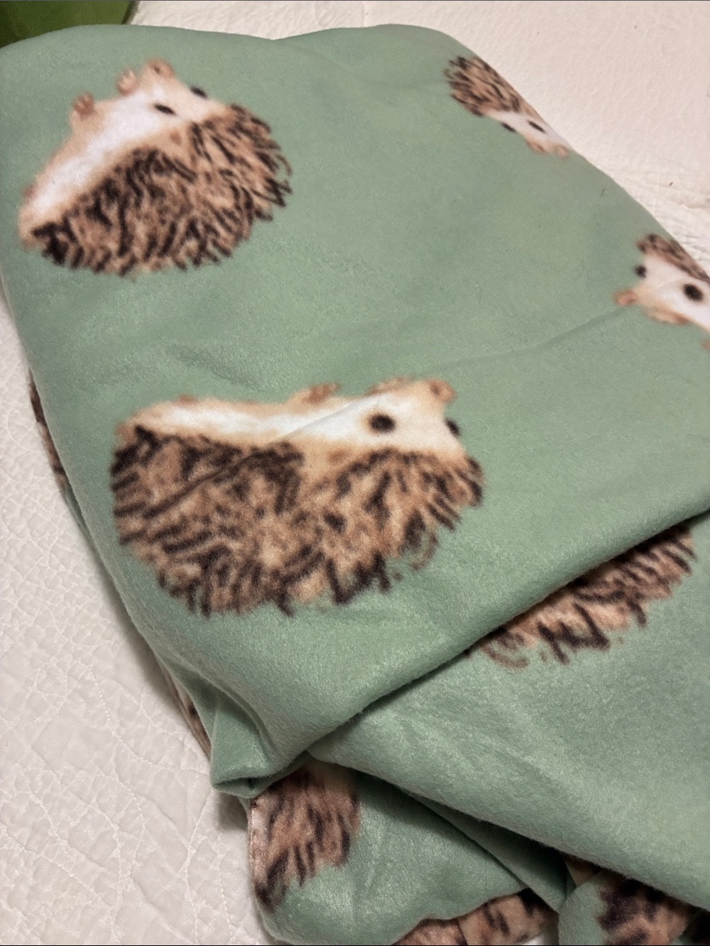 Hedgehog Print Blizzard Fleece - Picture 2 of 2
